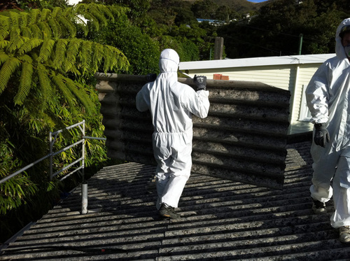 Asbestos Roofing Sheets Price and Alternatives